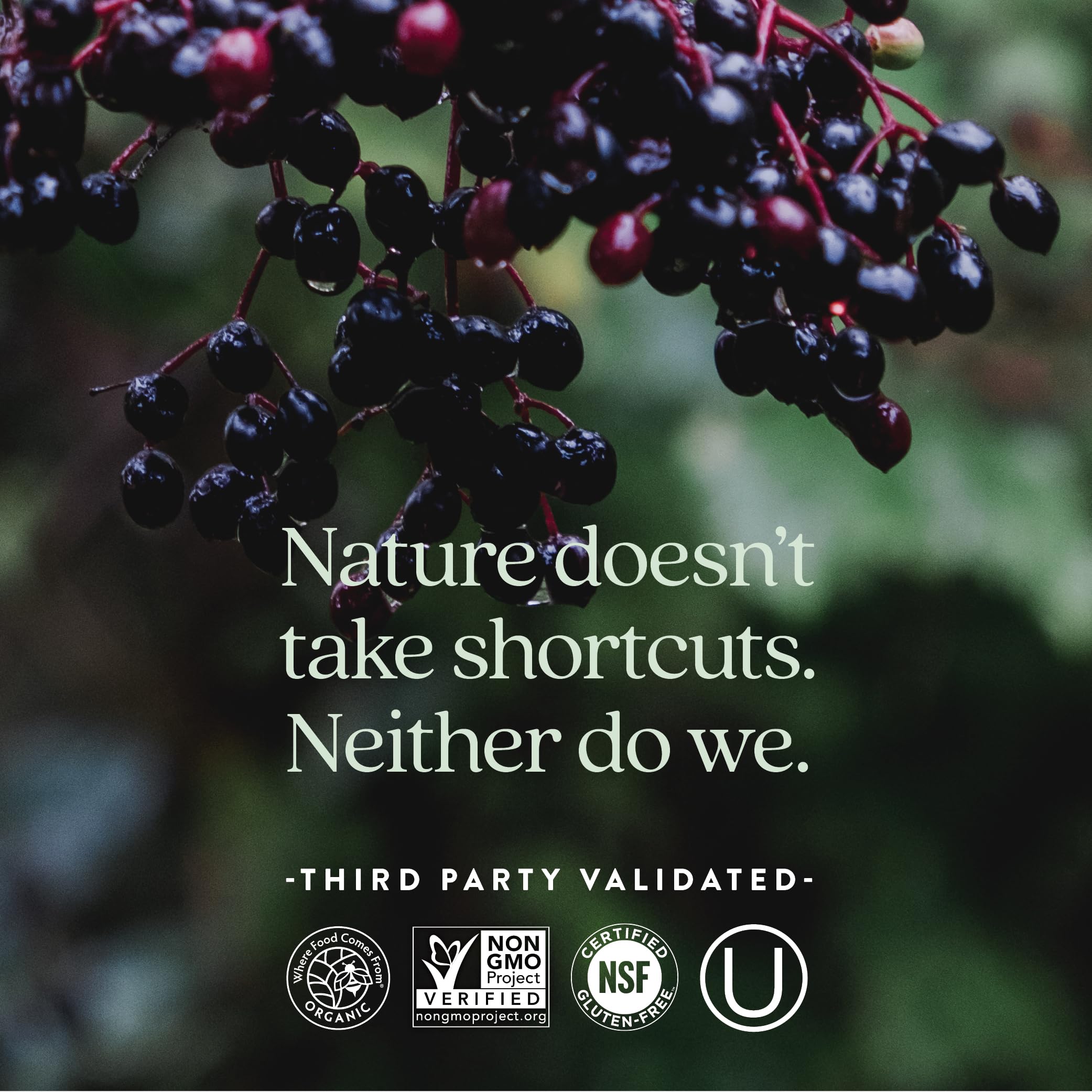 New Chapter Women's Multivitamin for Immune